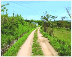  2025Ÿ409 泲  ̸ ݰ 399      (1)