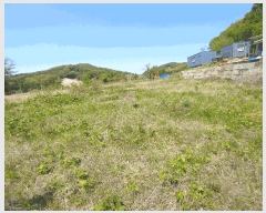  2025Ÿ413 泲   ù 285      (Ӿ)