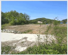  2025Ÿ413 泲   ù 285      (Ӿ)