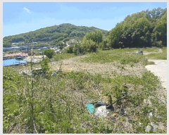  2025Ÿ413 泲   ù 285      (Ӿ)