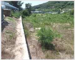  2025Ÿ413 泲   ù 285      (Ӿ)