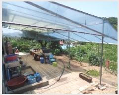  2025Ÿ413 泲   ù 285      (Ӿ)