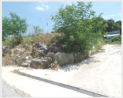  2025Ÿ413 泲   ù 285      (Ӿ)