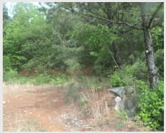  2025Ÿ415 泲    315-16      (Ӿ)