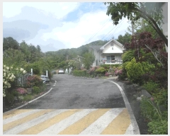  2025Ÿ415 泲    315-16      (Ӿ)