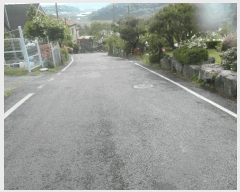  2025Ÿ415 泲    315-16      (Ӿ)