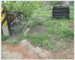  2025Ÿ415 泲    315-16      (Ӿ)