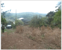  2025Ÿ415 泲    315-16      (Ӿ)