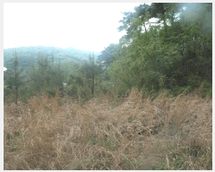  2025Ÿ415 泲    315-16      (Ӿ)