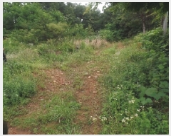  2025Ÿ415 泲    315-16      (Ӿ)