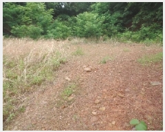  2025Ÿ415 泲    315-16      (Ӿ)