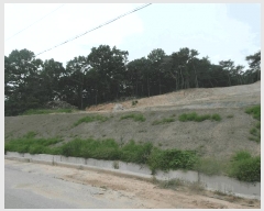  2025Ÿ422 泲   ù 79-1      (Ӿ)