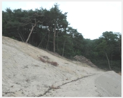  2025Ÿ422 泲   ù 79-1      (Ӿ)