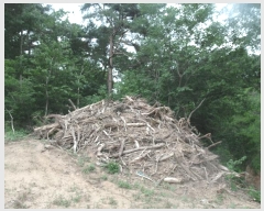  2025Ÿ422 泲   ù 79-1      (Ӿ)