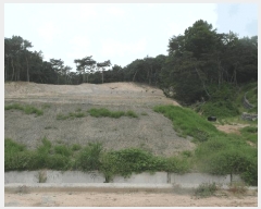  2025Ÿ422 泲   ù 79-1      (Ӿ)