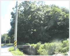  2025Ÿ��433 �泲 �ο��� ��ϸ� ���� ��99      ����(�Ӿ�)���