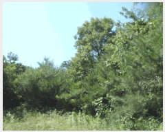  2025Ÿ��433 �泲 �ο��� ��ϸ� ���� ��99      ����(�Ӿ�)���