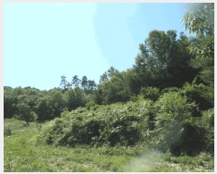  2025Ÿ��433 �泲 �ο��� ��ϸ� ���� ��99      ����(�Ӿ�)���