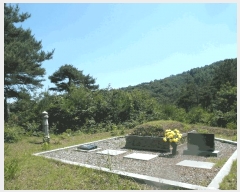  2025Ÿ��433 �泲 �ο��� ��ϸ� ���� ��99      ����(�Ӿ�)���