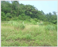  2025Ÿ��433 �泲 �ο��� ��ϸ� ���� ��99      ����(�Ӿ�)���