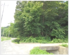  2025Ÿ��433 �泲 �ο��� ��ϸ� ���� ��99      ����(�Ӿ�)���