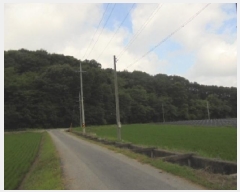  2025Ÿ��433 �泲 �ο��� ��ϸ� ���� ��99      ����(�Ӿ�)���