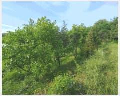  2025Ÿ��469 �泲 �ο��� ������ ������ 718      ����(��1)���