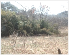  2025Ÿ��20082  �Ӿ߰��