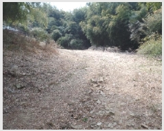  2025Ÿ��20082  �Ӿ߰��