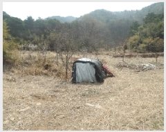  2025Ÿ��20082  �Ӿ߰��