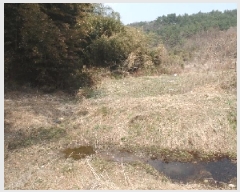  2025Ÿ��20082  �Ӿ߰��