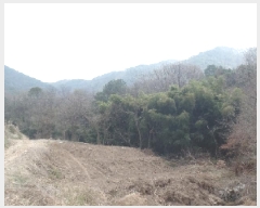  2025Ÿ��20082  �Ӿ߰��