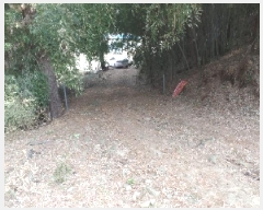  2025Ÿ��20082  �Ӿ߰��