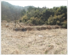  2025Ÿ��20082  �Ӿ߰��