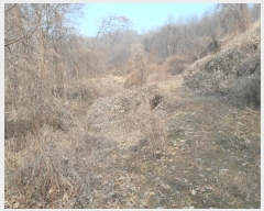  2025Ÿ20112 泲 ο ο  474      ()