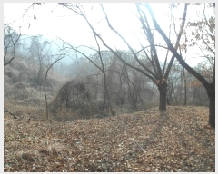  2025Ÿ20112 泲 ο ο  474      ()