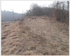  2025Ÿ20112 泲 ο ο  474      ()