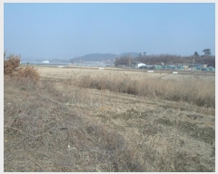  2025Ÿ20112 泲 ο ο  474      ()