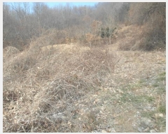  2025Ÿ20112 泲 ο ο  474      ()