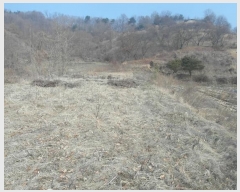  2025Ÿ20112 泲 ο ο  474      ()