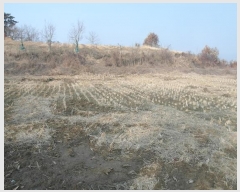  2025Ÿ20112 泲 ο ο  474      ()