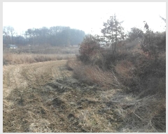  2025Ÿ20112 泲 ο ο  474      ()