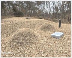  2025Ÿ��20259 �泲 ����� ������ �ù��� ��67-1      ����(�Ӿ�)���