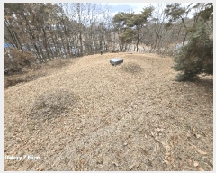  2025Ÿ��20259 �泲 ����� ������ �ù��� ��67-1      ����(�Ӿ�)���