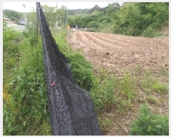  2025Ÿ��20259 �泲 ����� ������ �ù��� ��67-1      ����(�Ӿ�)���