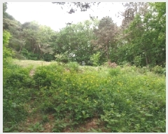  2025Ÿ��20259 �泲 ����� ������ �ù��� ��67-1      ����(�Ӿ�)���