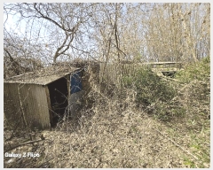  2025Ÿ��20275 �泲 ����� ����� ���ϸ� 13      ����(����)���