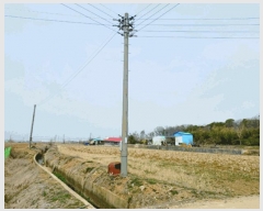  2025Ÿ20283 泲    294      ()