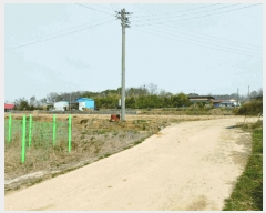  2025Ÿ20283 泲    294      ()