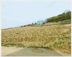  2025Ÿ20283 泲    294      ()